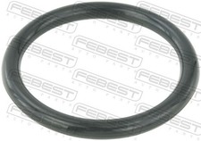 RINGAH-009 FEBEST Guarnizione