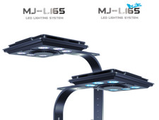 MAXSPECT JUMP MJ-L165 BLUE