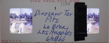 Tar Pits La Brea Los Angeles