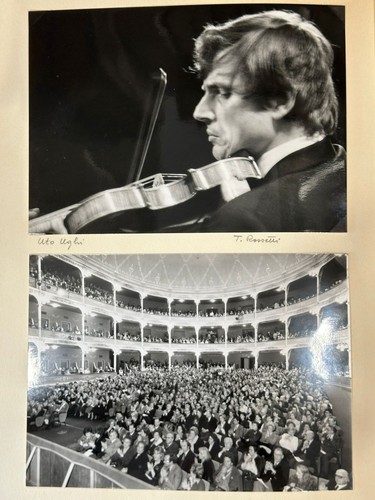 Foto teatro rossetti trieste - foto,