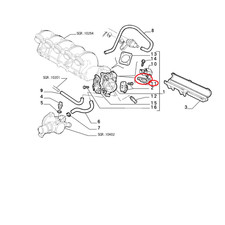 GUARNIZIONE TENUTA CORPO