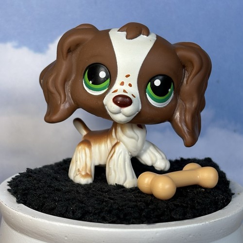 Cocker spaniel dog 156 - spaniel,