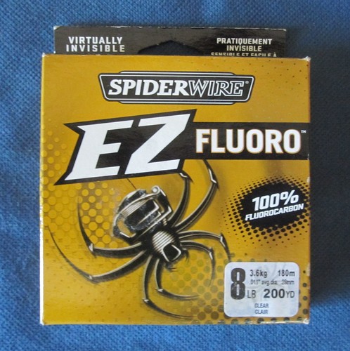 Filo ragno virtualmente - filo,