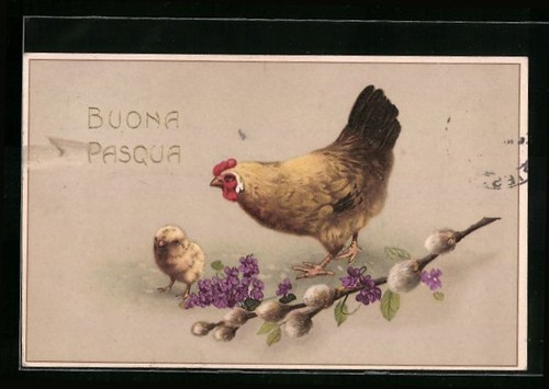 Pulcini pasquali gallo - e,