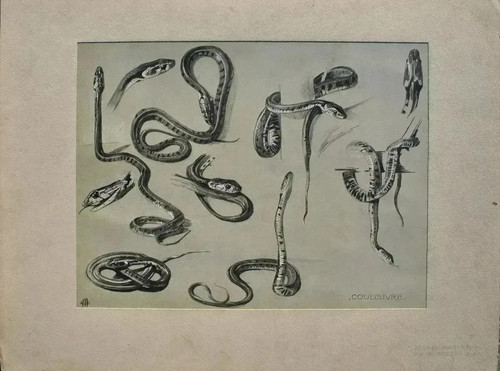 Mathurin meheut serpenti - mathurin, meheut: