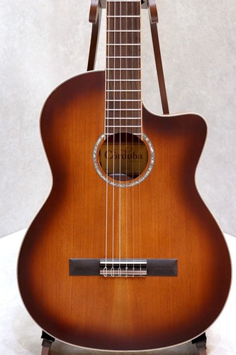 Chitarra elettrica classica