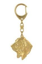 Basset Segugio I - Dorato