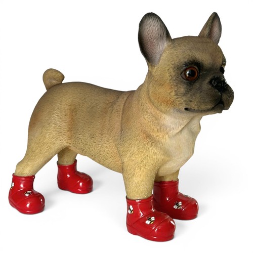 Francese cane bulldog rosso - francese, in