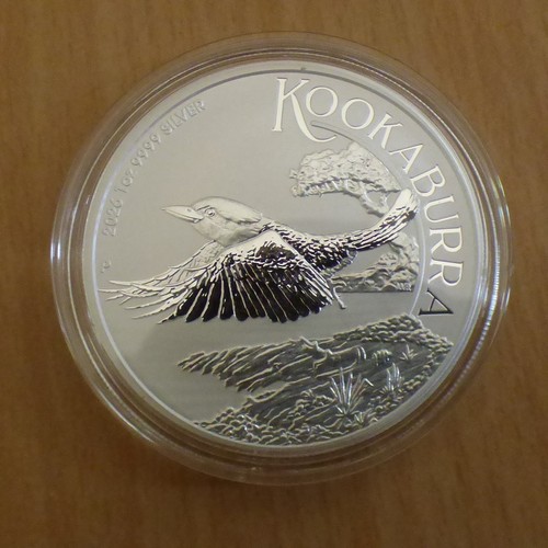 Australia kookaburra 2026 1 - australia,