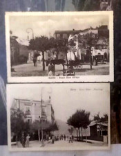 LOTTO ELENA GAETA FP BN NVG