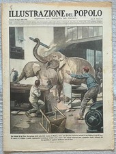 L'Illustrazione del Popolo