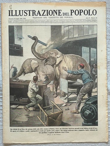 Illustrazione del popolo - l'illustrazione,