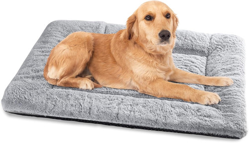 Cuccia cane interno - cuccia,