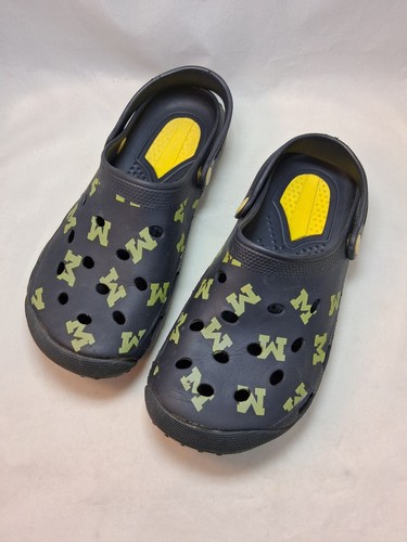Michigan wolverines fan - michigan,
