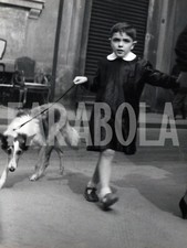 Foto Vintage Animali Cane a passeggio con bambino anni 60 stampa 24x18 cm