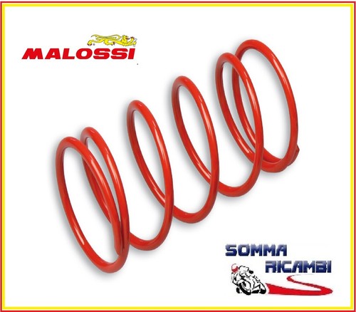 Molla contrasto 297046 - di,