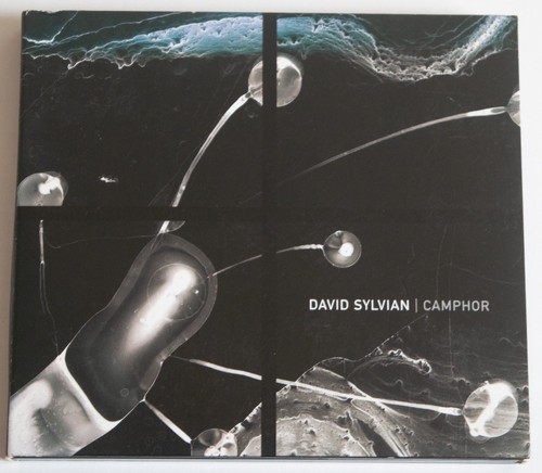 David sylvian camphor vg - camphor,