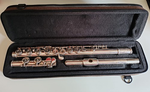 Flauto traverso briccialdi - flauto,