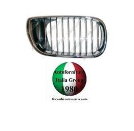 Griglia radiatore - griglia,