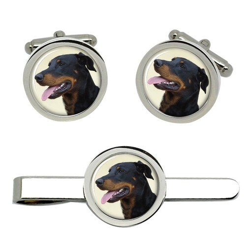 Beauceron cane gemelli - beauceron,