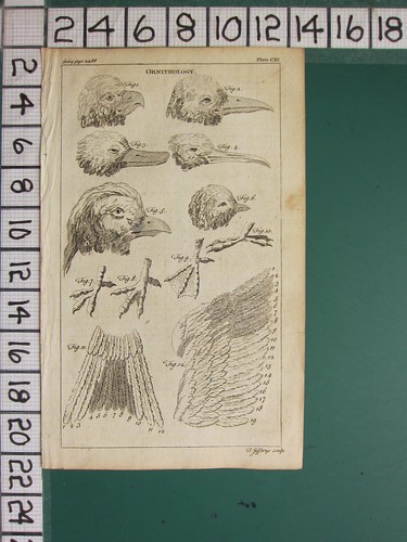 1754 antico stampa - stampa, ~