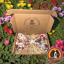 Cravatta con fiocco cane fatta