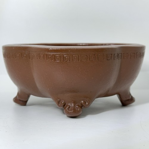 Vaso bonsai premium yixing - bonsai,