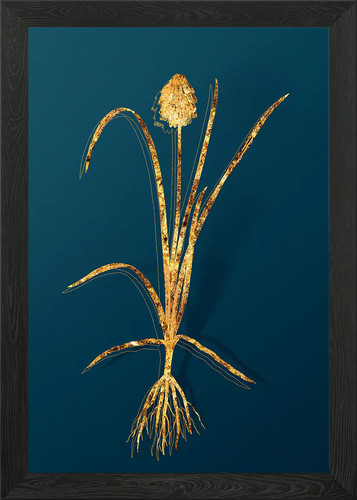 Quadro stampa tela poster - stampa,