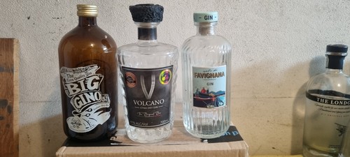 Bottiglie gin vuote - bottiglie,