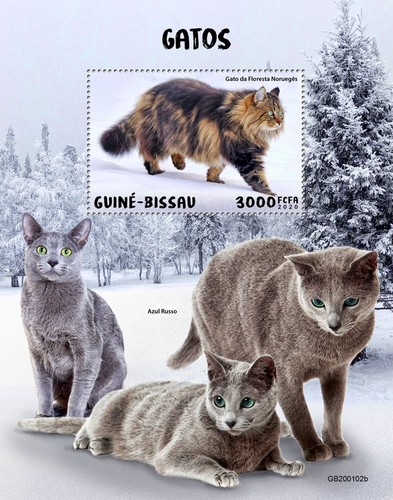 Cats