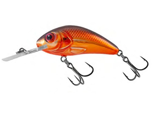 Salmo rattlin hornet 5cm - rattlin, 5.5cm