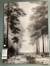 IKEA PJATTERYD Canvas MISTY