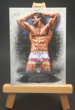 2015 Topps WWE Undisputed #100