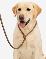 NUOVO GUINZAGLIO PER CANI IN
