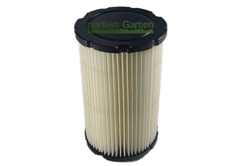 Filtro aria per motore - , briggs