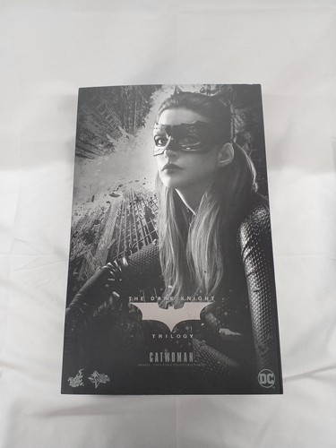 Batman model catwoman hot toys - model,