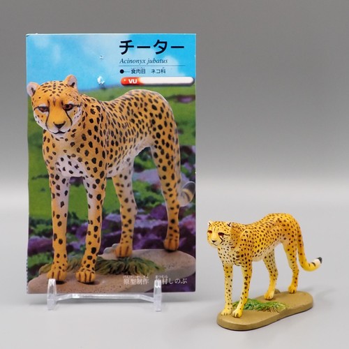 Figura animale ghepardo furuta - ghepardo,