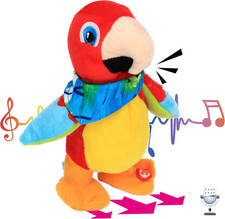 Talking Parrot Repeats What