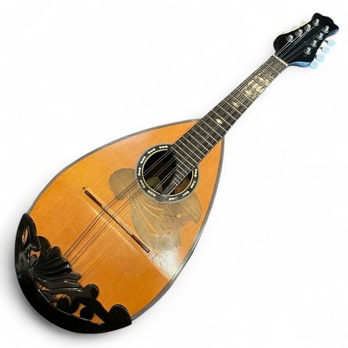 Suzuki mandolino - suzuki,