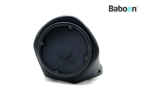 Speaker radio sinistro