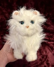 Peluche gattino bianco da