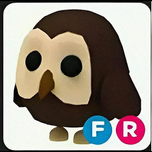 Adopt owl fly - adopt, ride