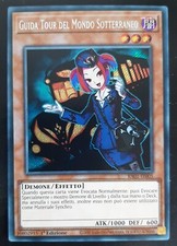 GUIDA TOUR DEL MONDO