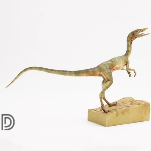 Dino dream femmina - 1/5,