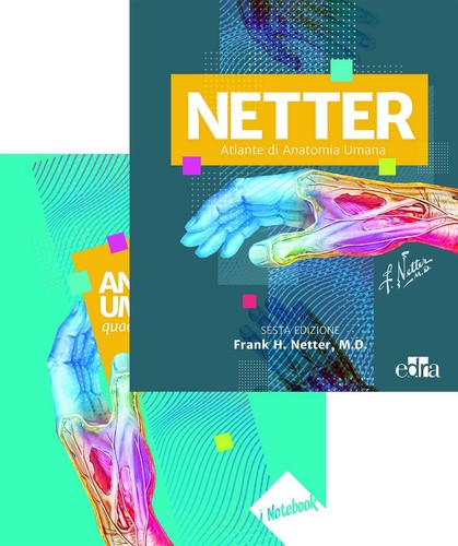 Netter atlante anatomia - atlante,