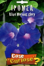 Semi/Seeds IPOMEA BLU MORNING