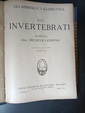 Gli animali e la loro vita