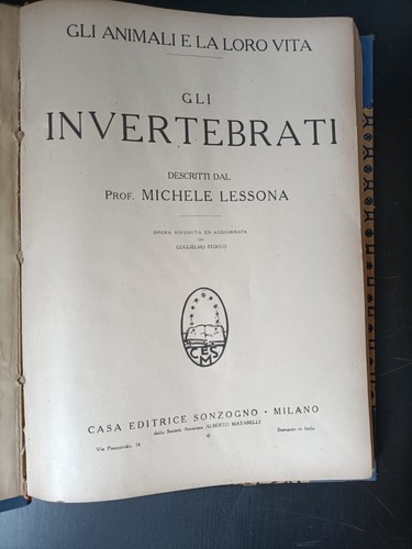 Gli animali loro vita - loro,