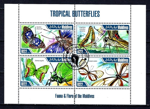 Animali farfalle maldive 2014 - animali,
