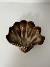 Ernestine Salerno Conchiglia 